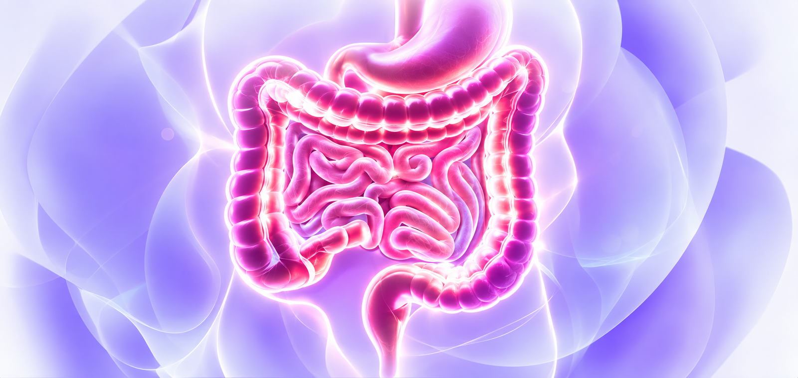 GI Healthcare